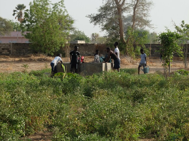 Landwirtschaftliches Gelände in Gossas