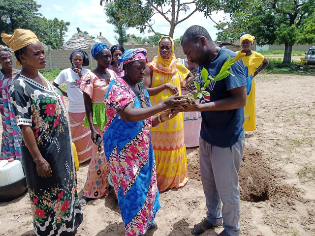 Pater Joel Ngah mit Frauen aus dem Savannendorf Dadagne bei der Baumpflanzaktion.