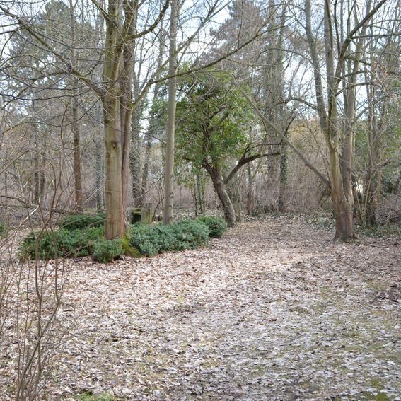 12. Altes Deutsches Gymnasium, Seminargarten