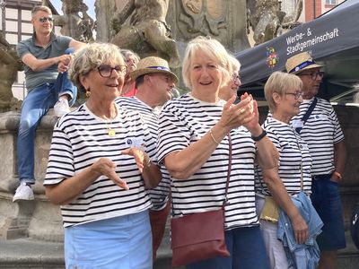 Impfpass mit Spritze