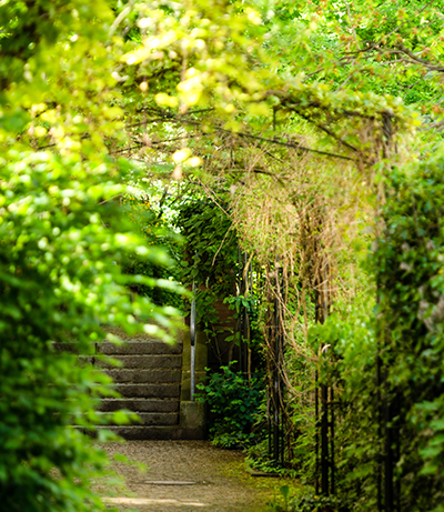 Aufgang zum Apothekersgarten