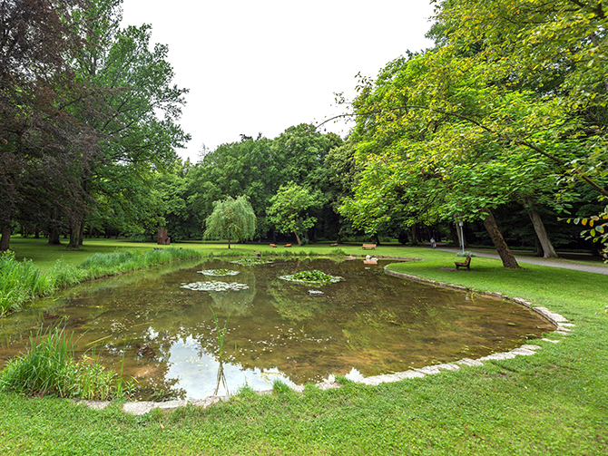 Blick auf den Weiher im Stadtpark