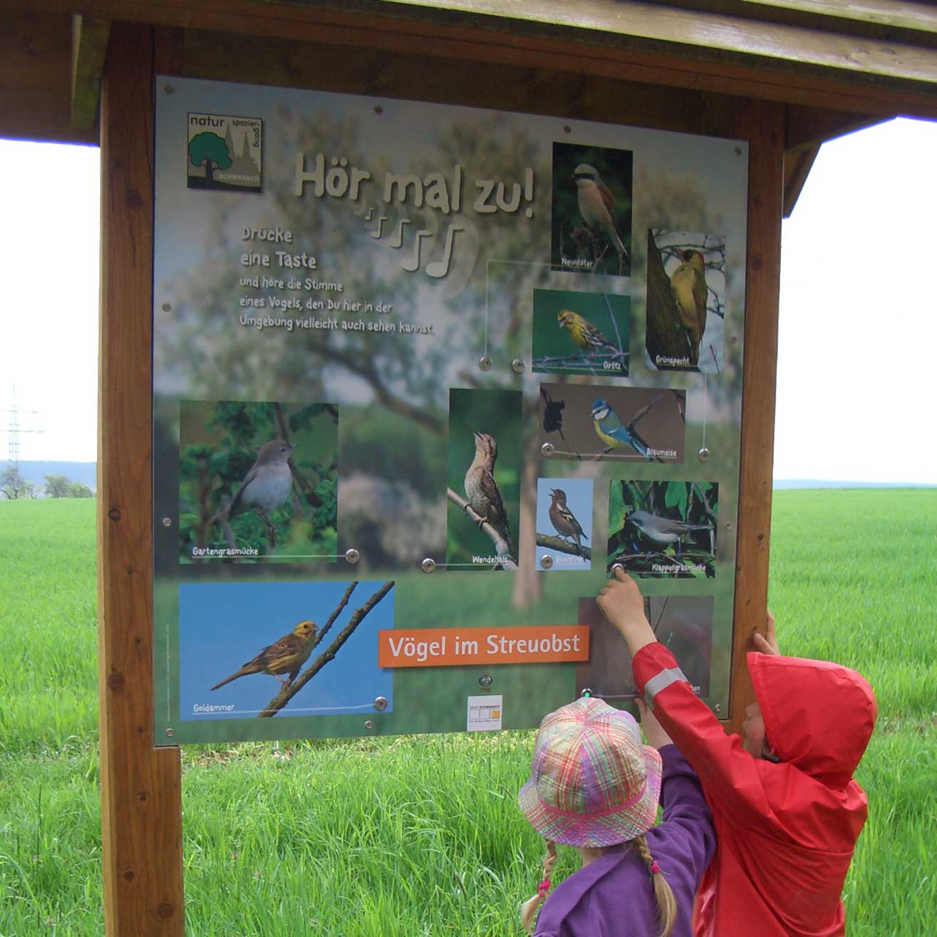 Kinder vor einer Infotafel zum Naturlehrpfad