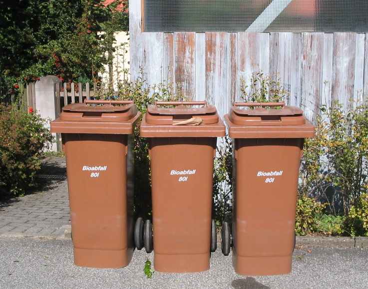 zur Abfuhr bereit stehende braune Biotonnen