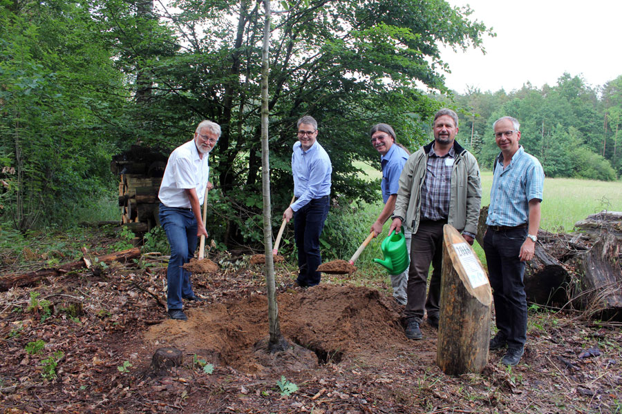 Beim Pflanzen: Von links Bürgermeister Dr. Roland Oeser, Dr. Thomas Hiller, technischer Leiter der Stadtwerke, Andreas Barthel vom Landschaftspflegeverband, Stadtförster Thomas Knotz und Thomas Mulzer von der Stadtgärtnerei