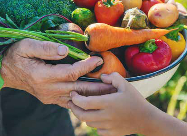 Verschiedene bunte Obst- und Gemüsesorten