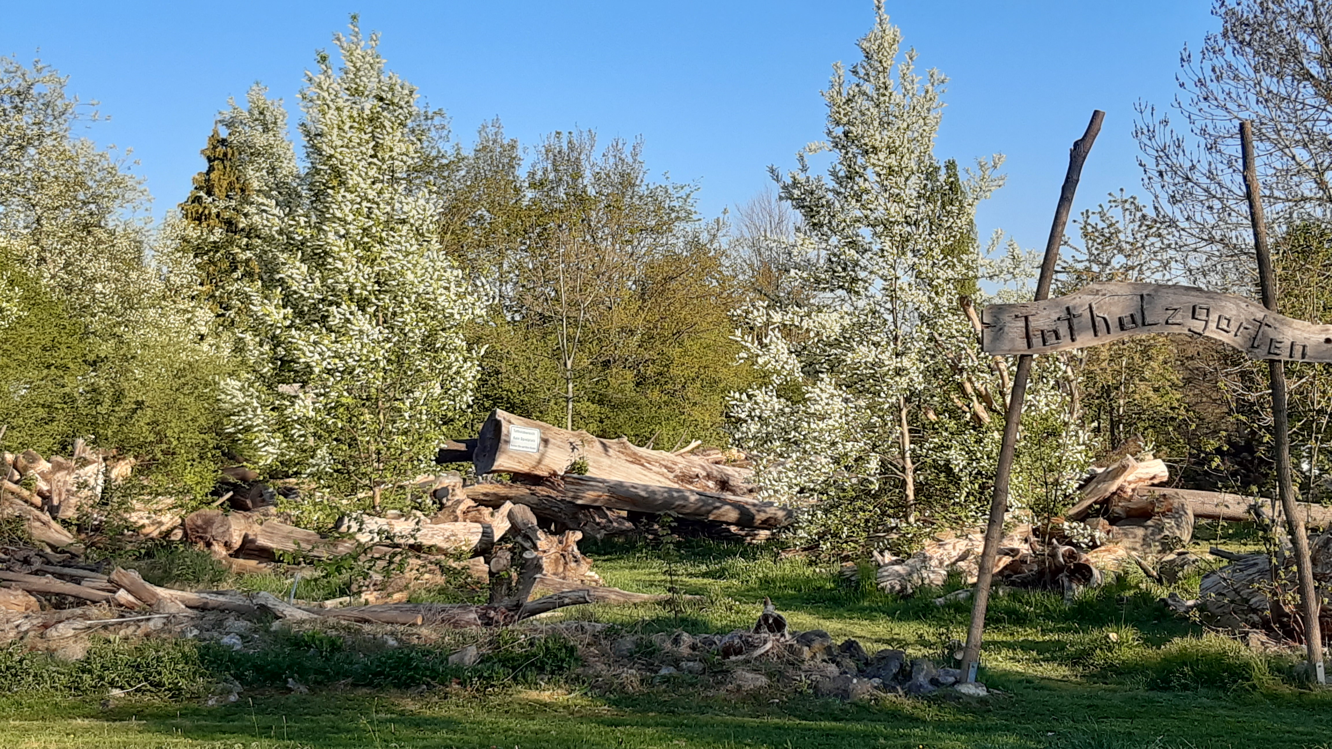 Totholzgarten in Schwabach